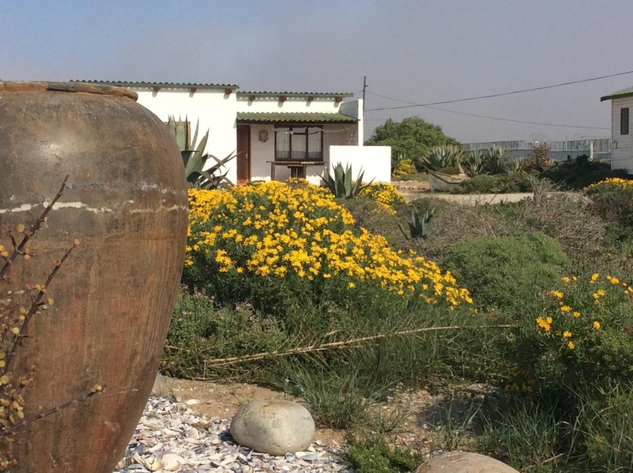 Honnehokke Resort Hondeklipbaai Dış mekan fotoğraf