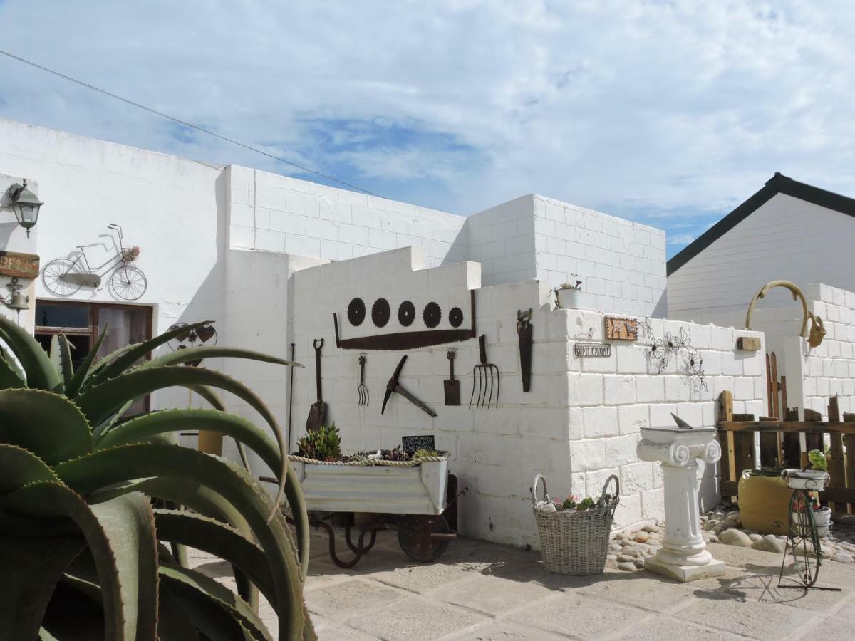 Honnehokke Resort Hondeklipbaai Dış mekan fotoğraf