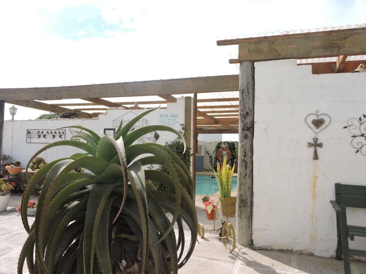 Honnehokke Resort Hondeklipbaai Dış mekan fotoğraf
